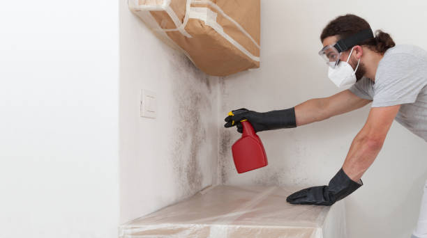 Professional Mold Remediation technician working in Clarendon Hills, IL