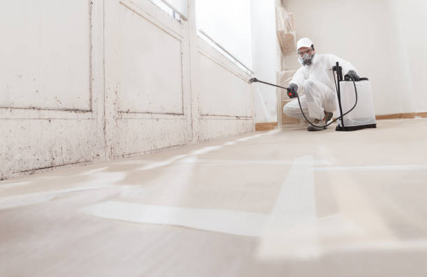 24/7 Emergency Mold Remediation experts in Clarendon Hills, IL